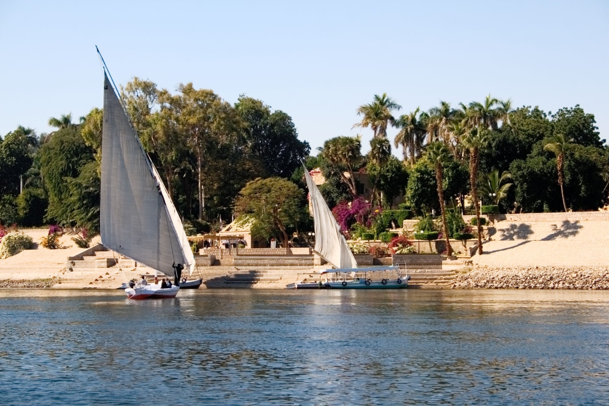 Sightseeing boat and feluccas anchor at the bank of the Nile River. In the background there is the Aswan Botanical Garden.