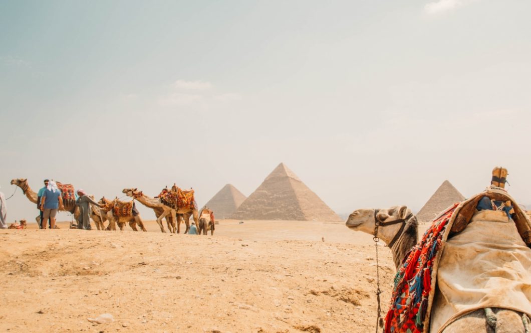 The pyramids of giza on a sunny day with a camel laying down in the corner