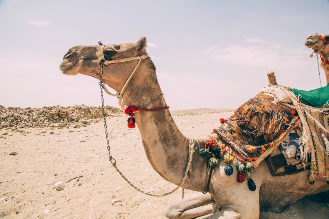 25 Photos to Inspire You to Travel to Egypt