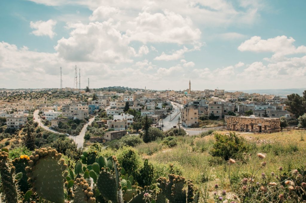 A view of the city of Jerusalem with cactus plants in the foreground.