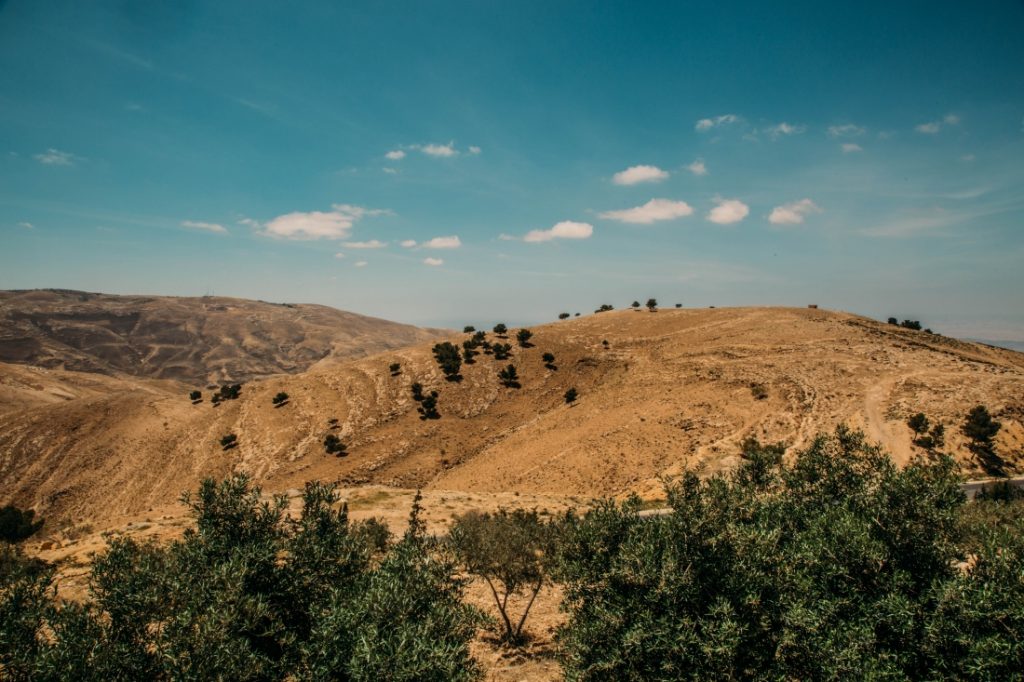 The view from Mount Nebo overlooking a hillside.