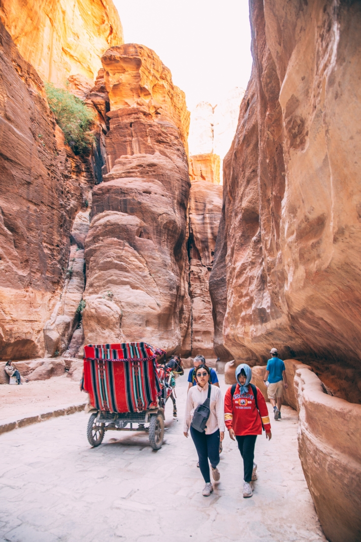 Petra, Jordan - 10 Things to Know Before Visiting the "Rose City"