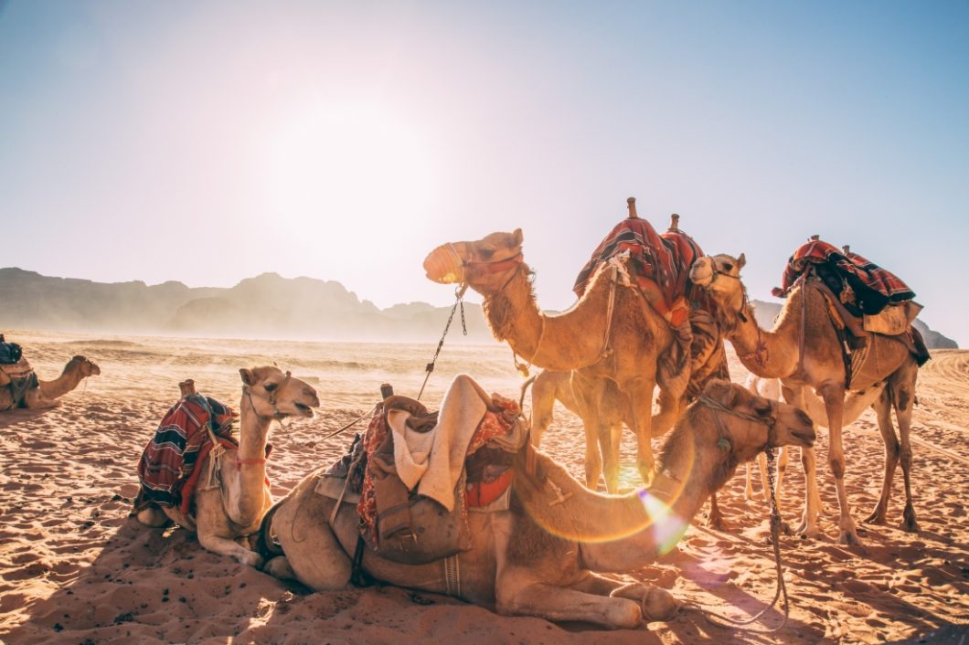 Wadi Rum Jeep Tour Photo Gallery