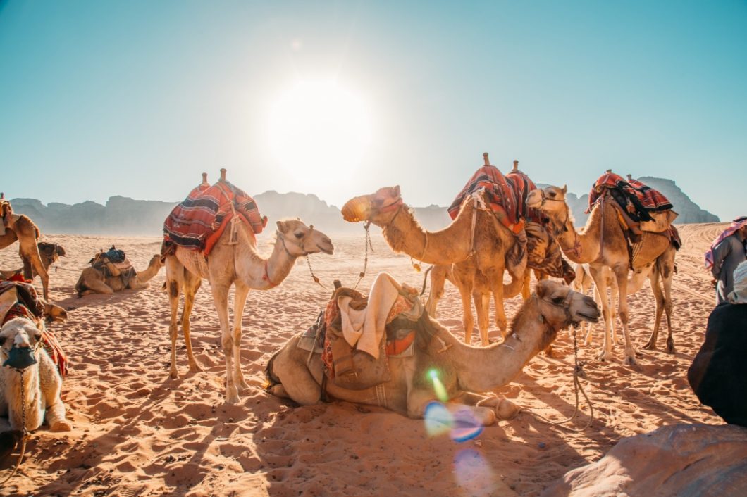 Photos to Inspire You to Travel to Jordan