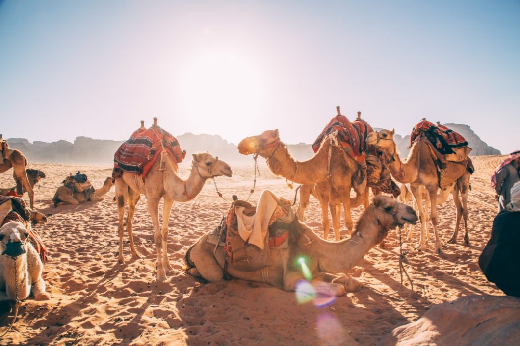 "Desert Adventures" Tour Services Review for Jordan