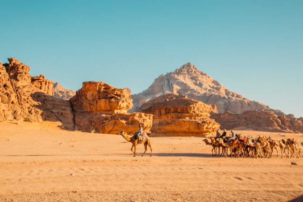 A tour group rides camels through the sandy valleys of the Wadi Rum desert on a gorgeous, sunny day.