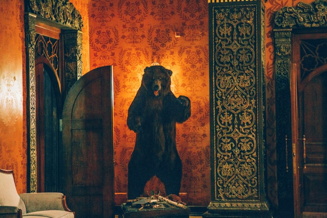 the bear in the boyarsky