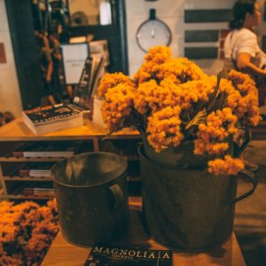 Magnolia Market - How to Plan the Perfect Day Trip