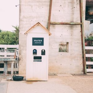 Magnolia Market - How to Plan the Perfect Day Trip