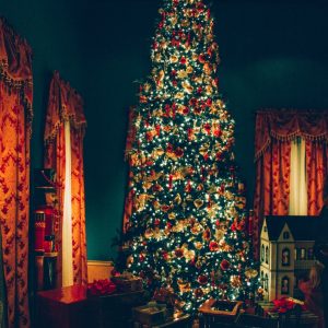 15 Photos of Nutcracker in the Castle at the Paine Art Center (Updated 2019)