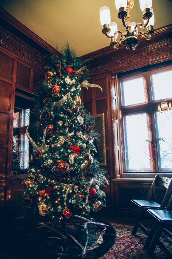 A large Christmas tree decorated with ornate ornaments and lights, stands in front of a large window.