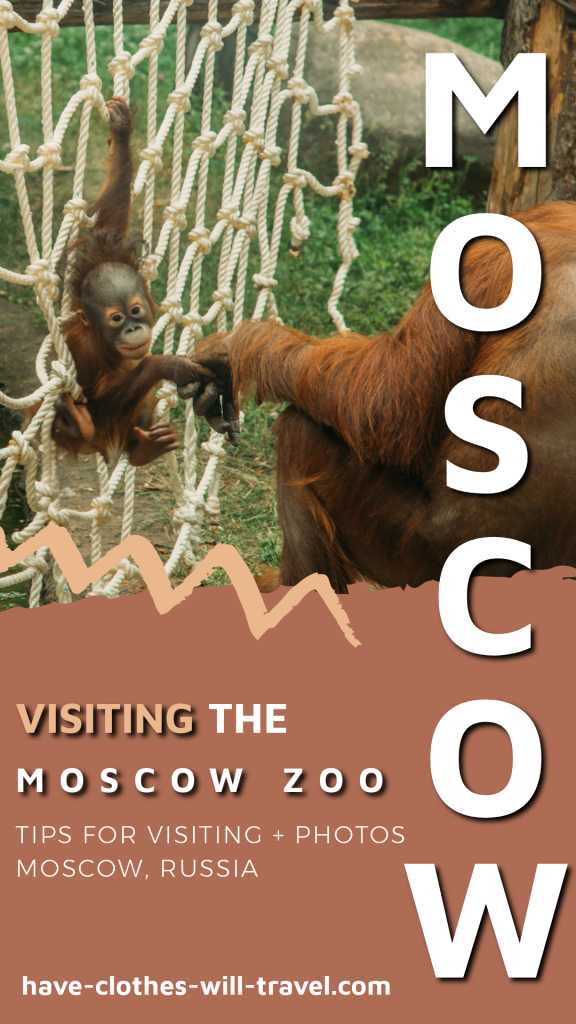 Tips for Visiting the Moscow Zoo + Animal Photos