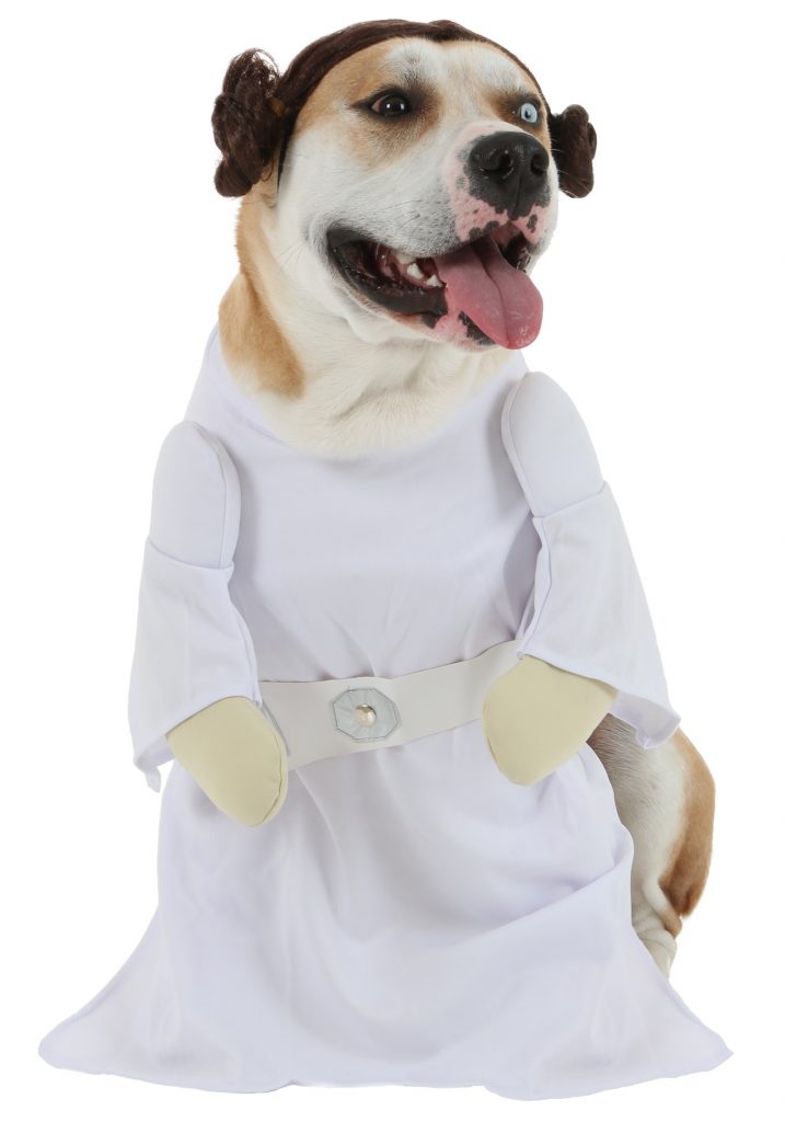 princess-leia-dog-costume