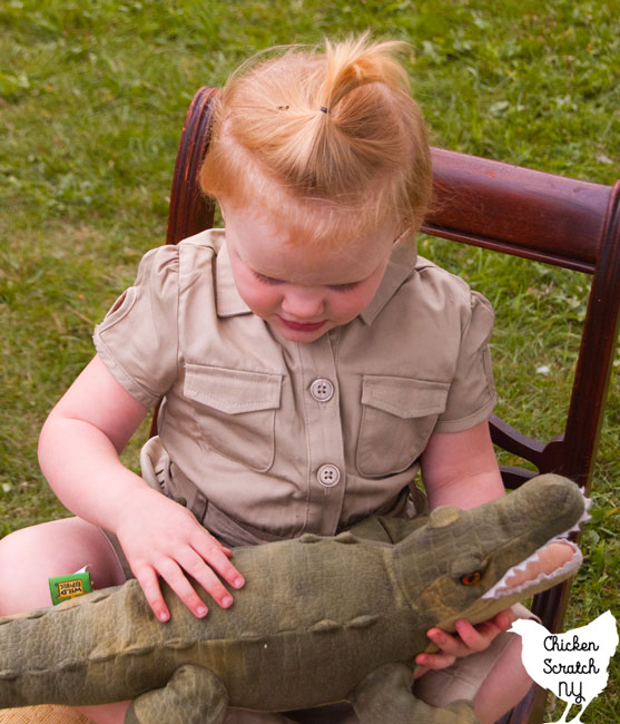 A little girl is dressed like Steve Irwin, in a khaki outfit, holding a stuffed croccodile toy.