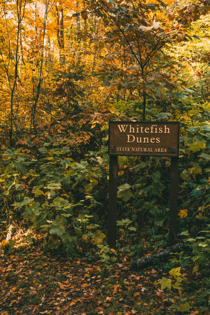 Whitefish Dunes State Park During Fall
