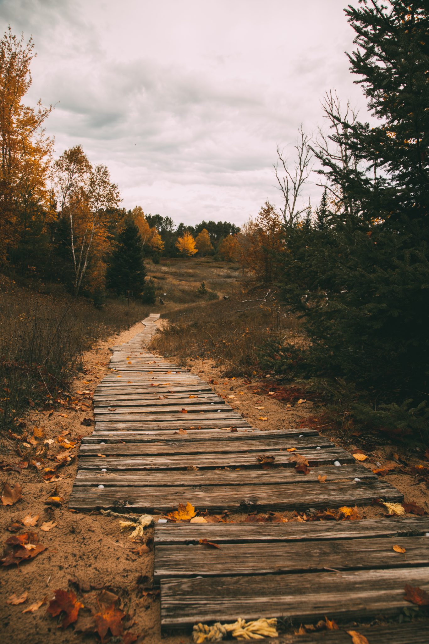 Whitefish Dunes State Park During Fall