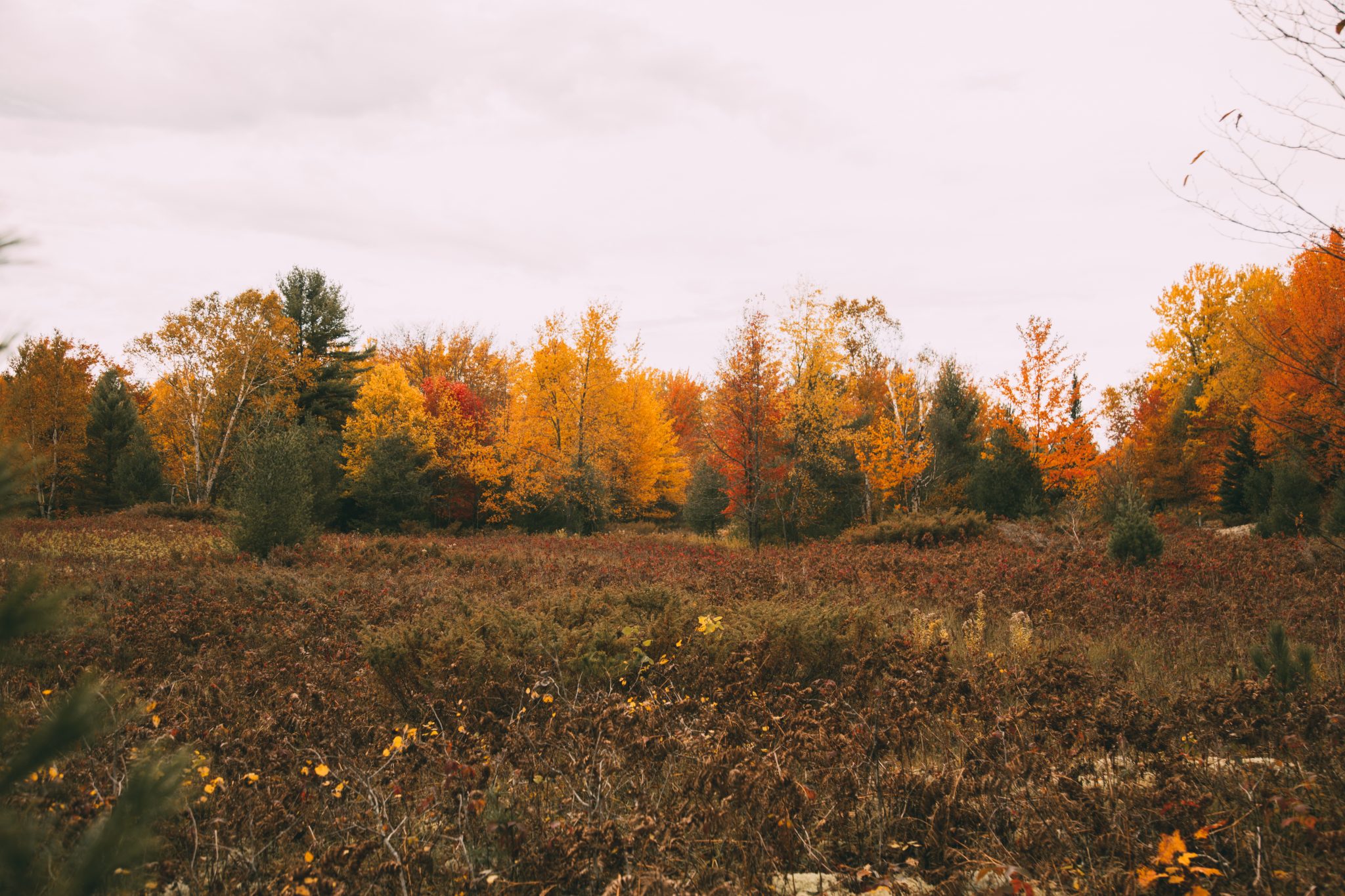 Whitefish Dunes State Park During Fall