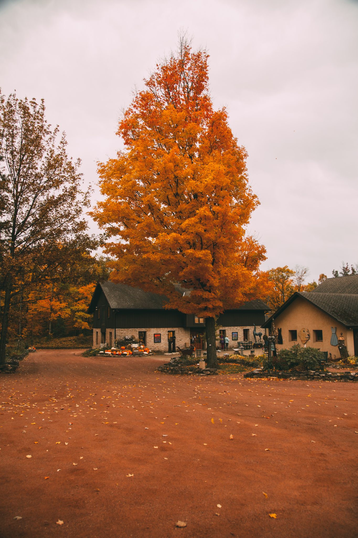 Edgewood Orchard Galleries.