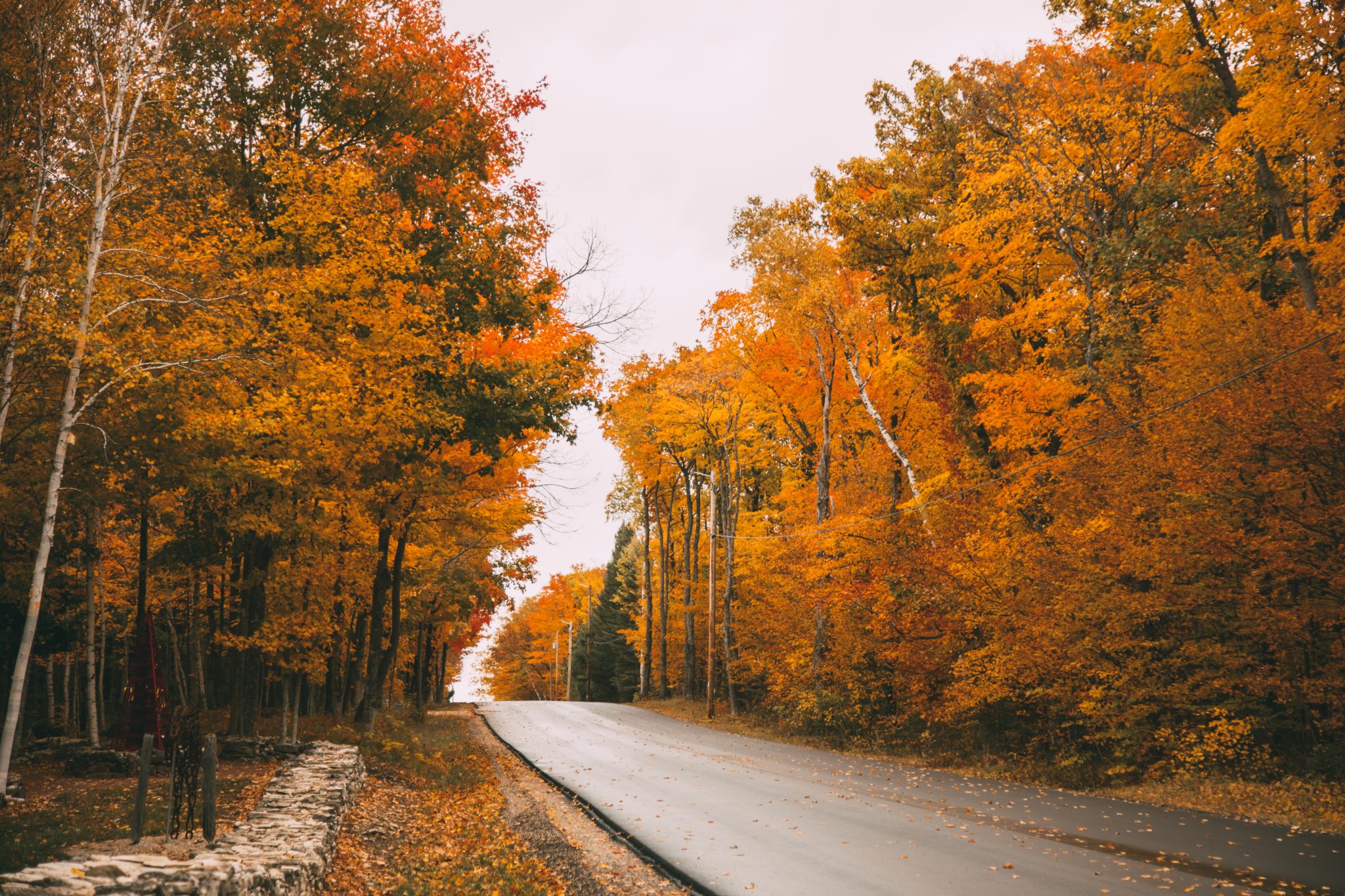 Taken just outside Edgewood Orchard Galleries. fall colors scenic fall drive in Door County Wisconsin