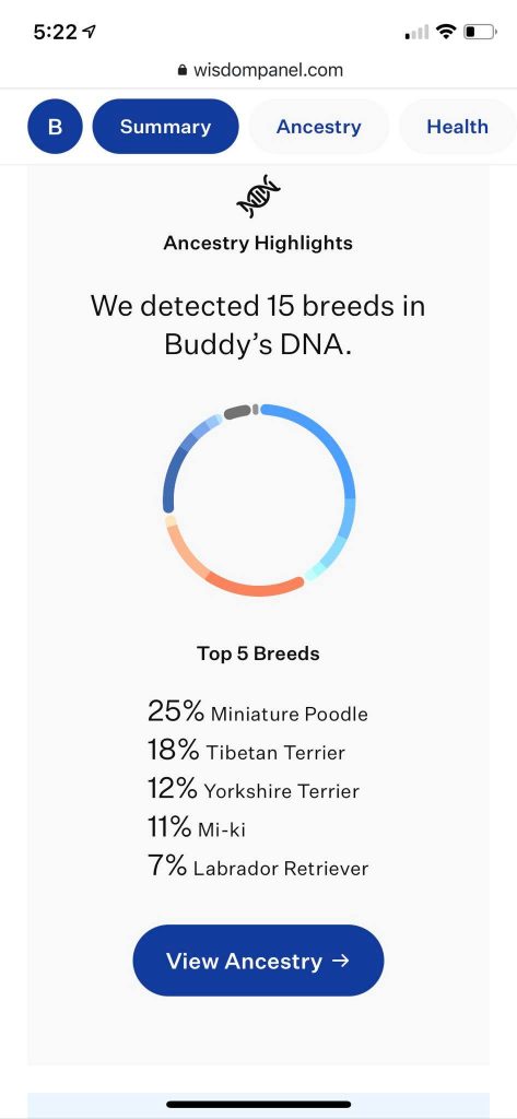 Buddy's DNA test results