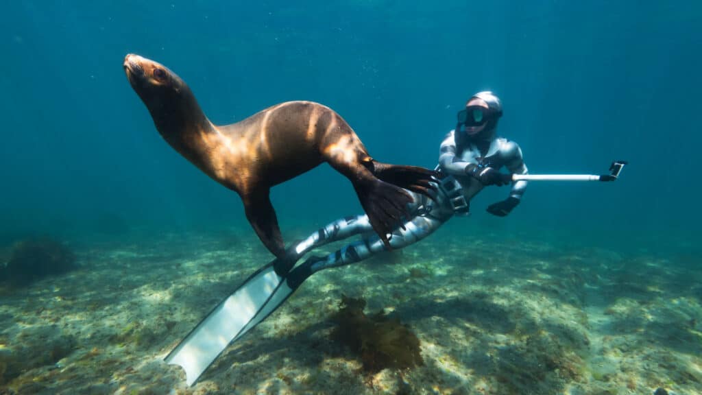 Freediving with sealions on Peninsula Valdez in Argentina