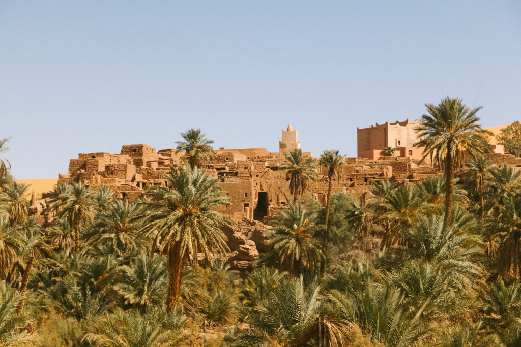 A view of the green oasis at Siwa Oasis within the White Desert in Egypt.