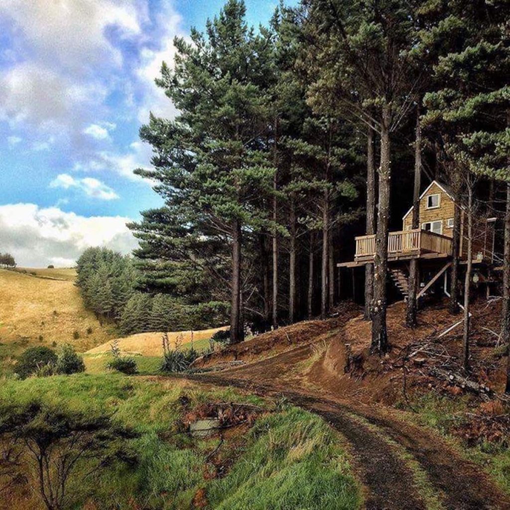Raglan Treehouse in the Woods with Outdoor Bath