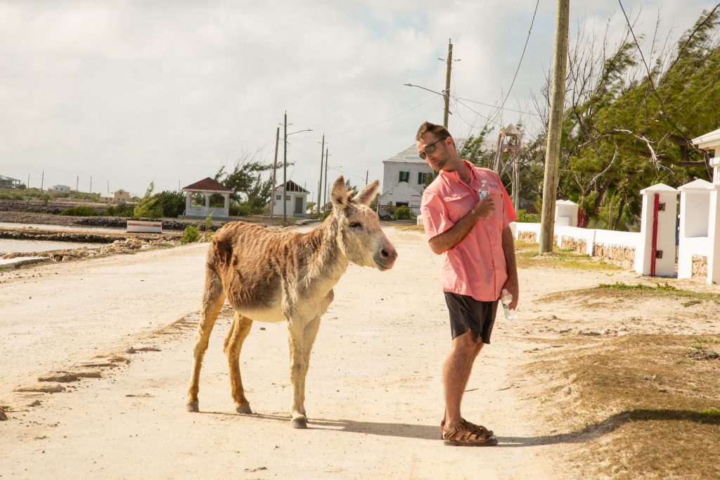 A man standing next to a donkey on a dirt road wearing swim trunks doubled as shorts in Turks and Caicos.