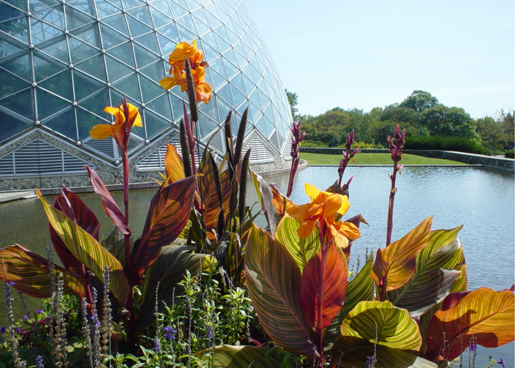 Mitchell Domes Botanical Garden