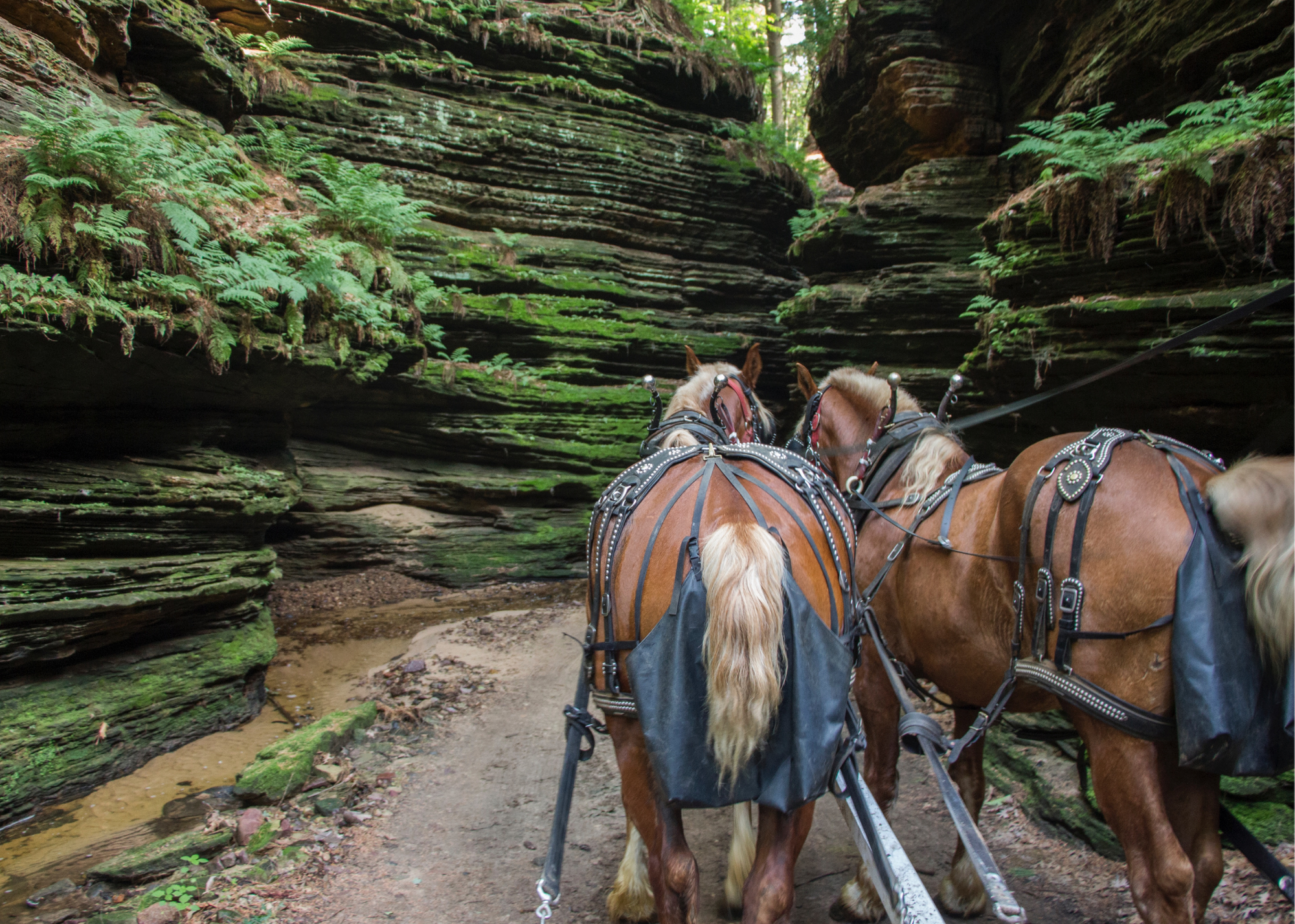 25 Awesome Things to Do in Wisconsin Dells by a Wisconsinite