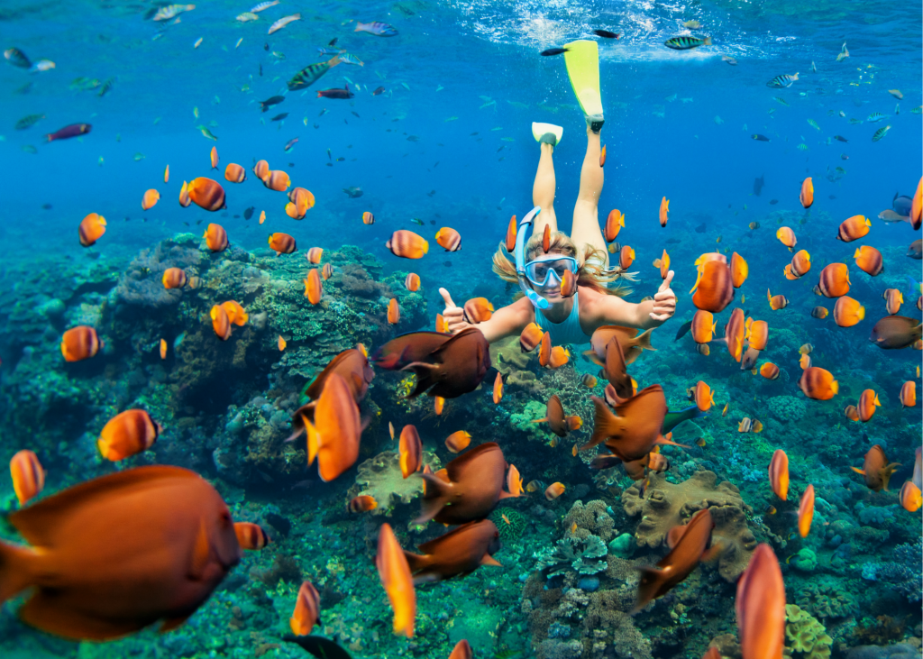 Snorkeling in Turks and Caicos