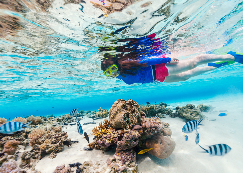 A woman is snorkling in the water near coral reefs at Bight Reef (Coral Gardens).