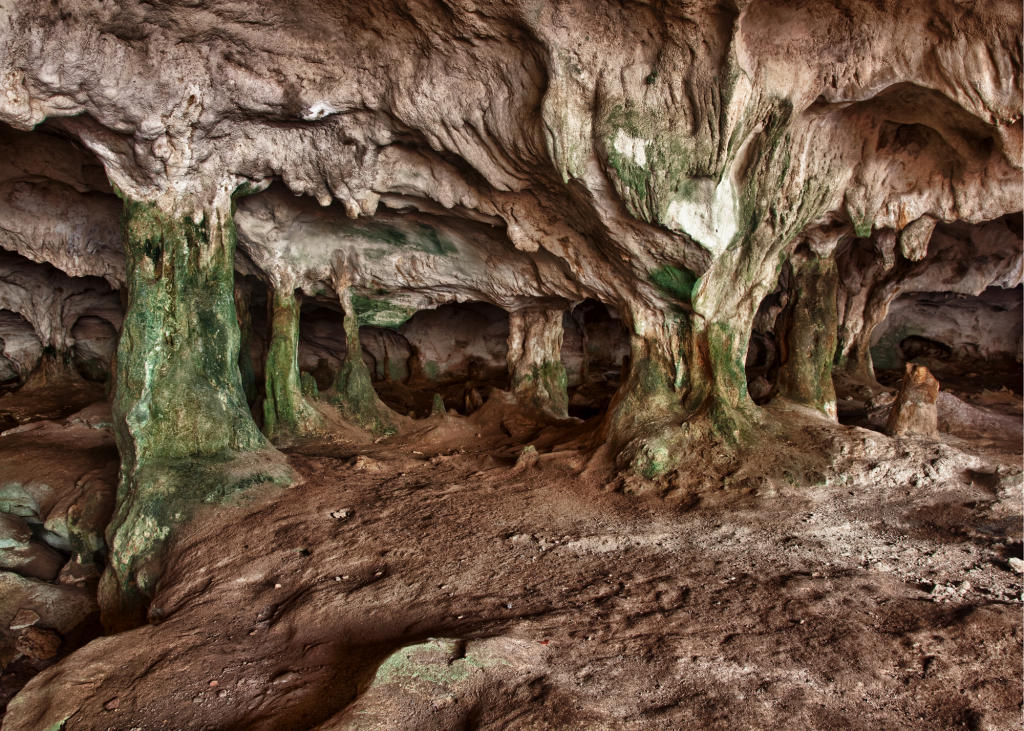 Explore the Conch Bar Caves (Middle Caicos)