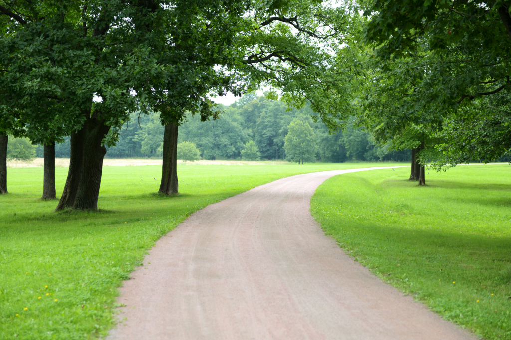 Go Biking on Oak Leaf Trail