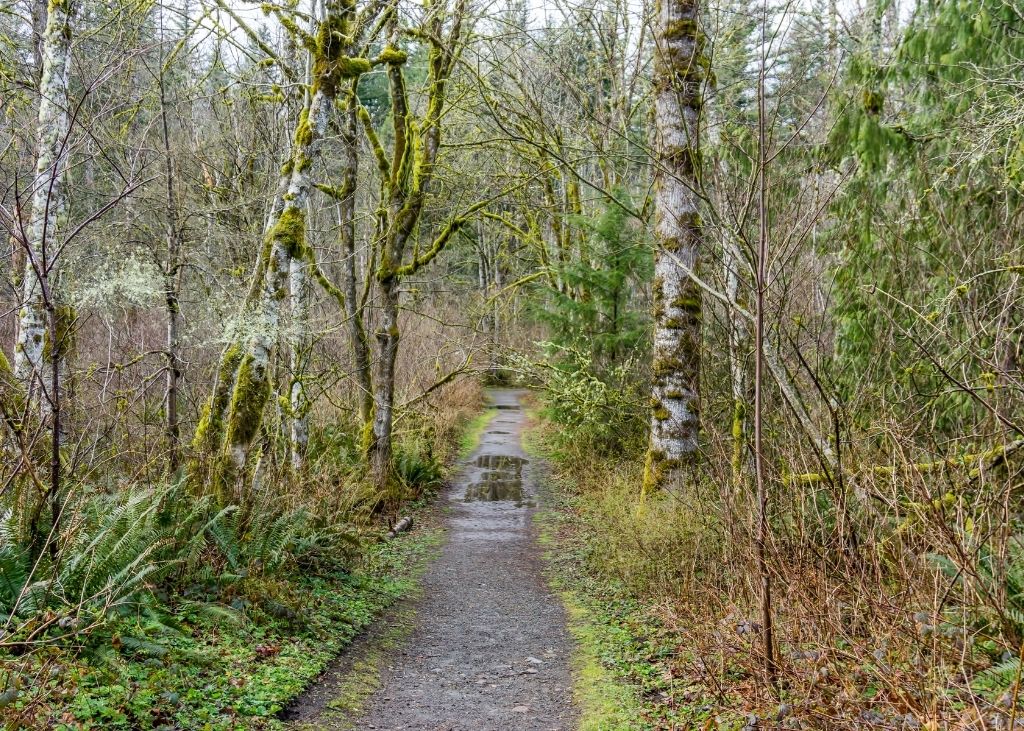 Wiouwash State Trail