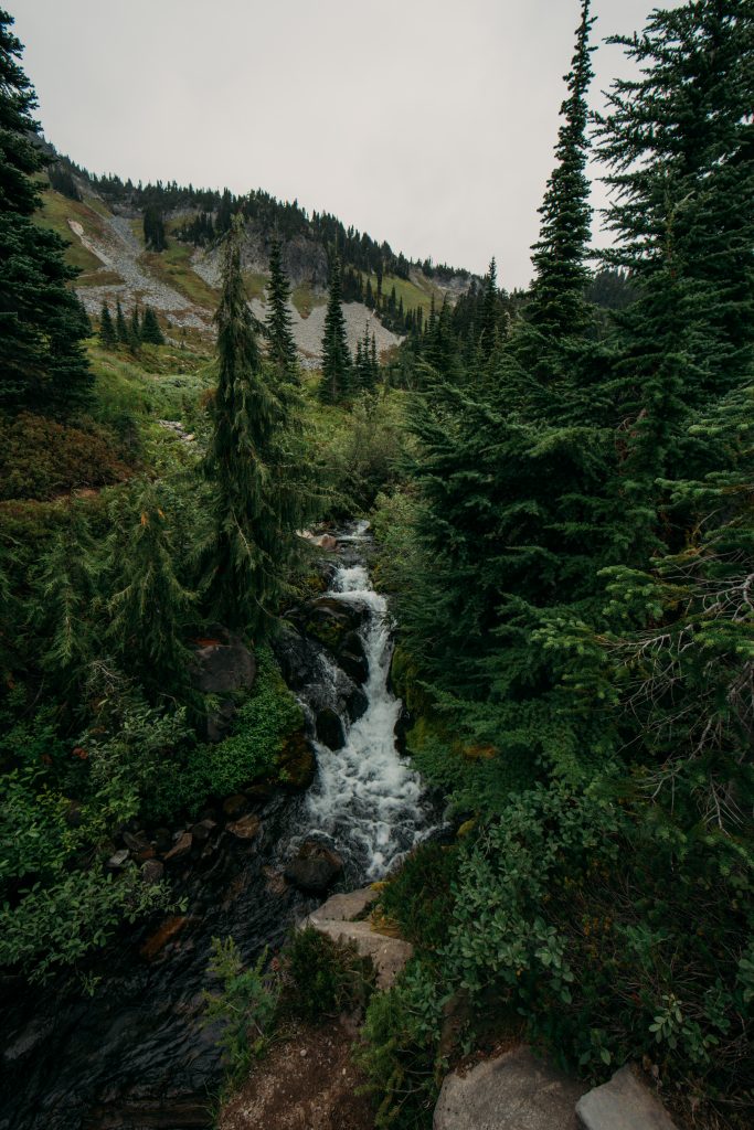 Myrtle Falls (Mount Rainier can be seen behind them on a clear day.)