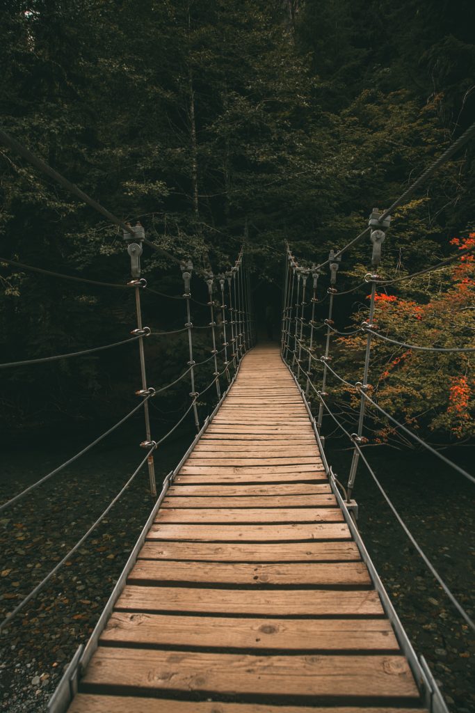 A beautiful suspension bridge leading into the Grove of the Patriarchs.