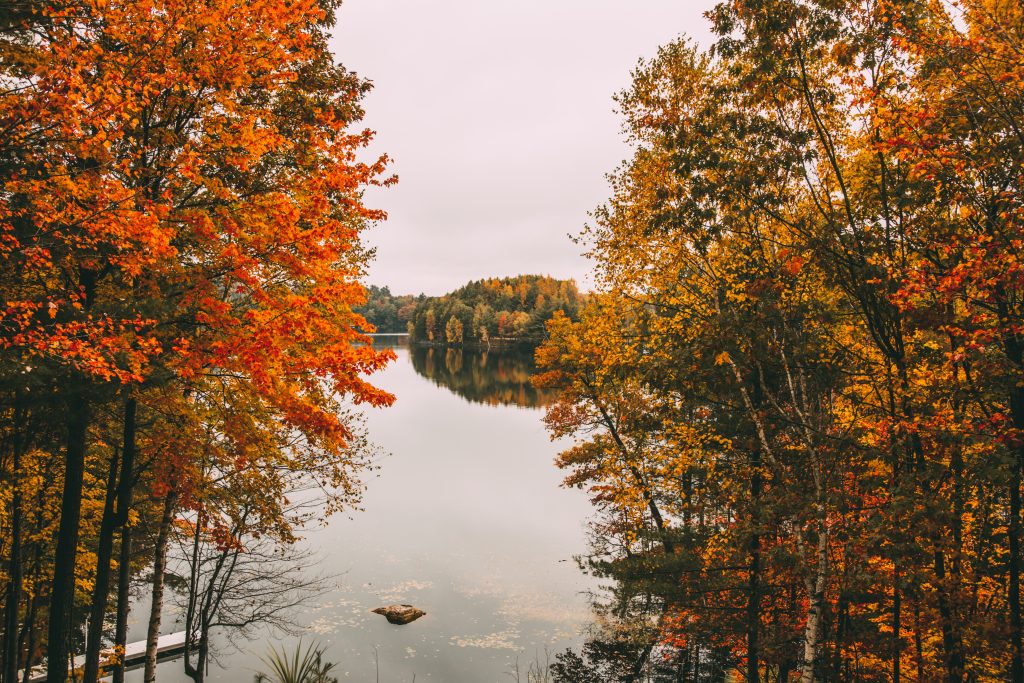 Lake Tomahawk Wisconsin during fall