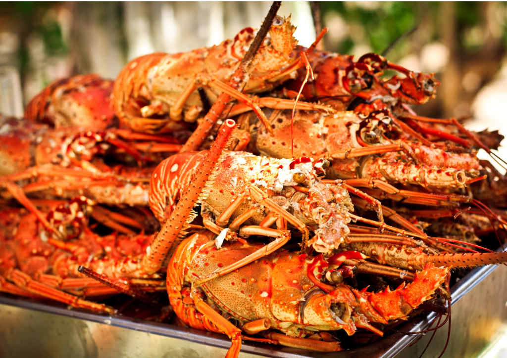 A tray full of grilled lobsters sitting on a table.