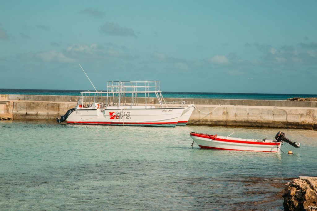 The Salt Cay Divers boat used on the whale watching excursions.