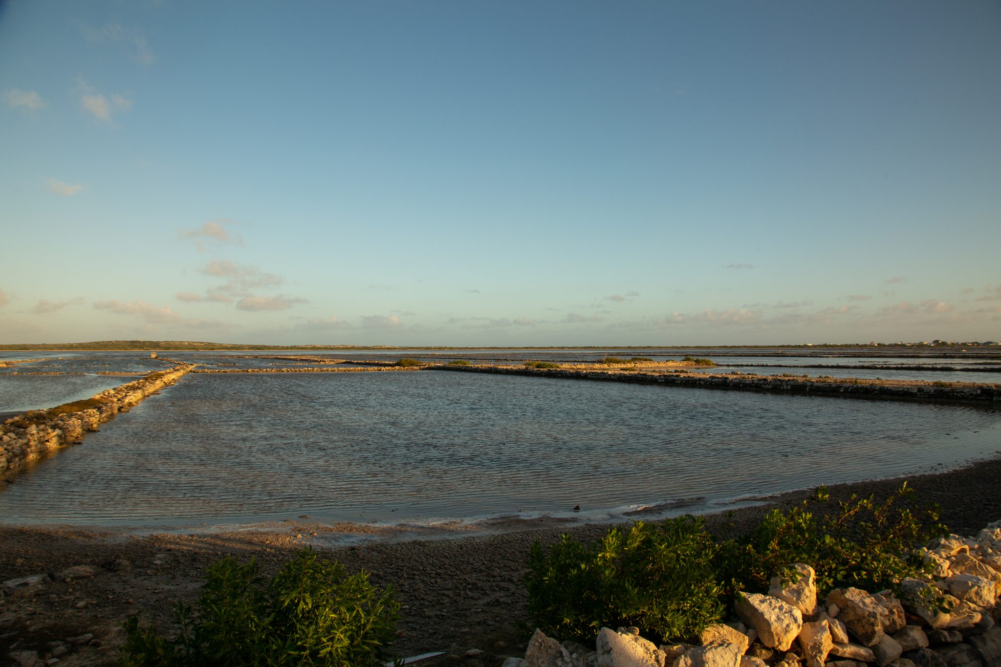 The Salinas on Salt Cay.