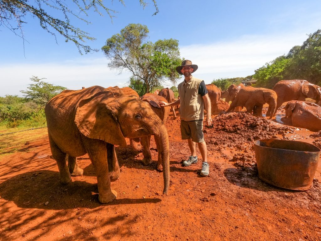 Our private visit to the Sheldrick Wildlife Trust in Nairobi Kenya