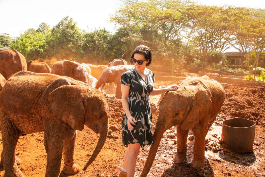 A woman is standing next to a group of elephants at Sheldrick Wildlife Trust.