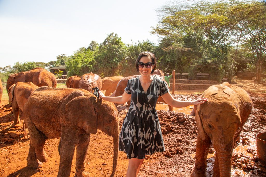 My private visit to Sheldrick Wildlife Trust Elephant Orphanage in Nairobi Kenya