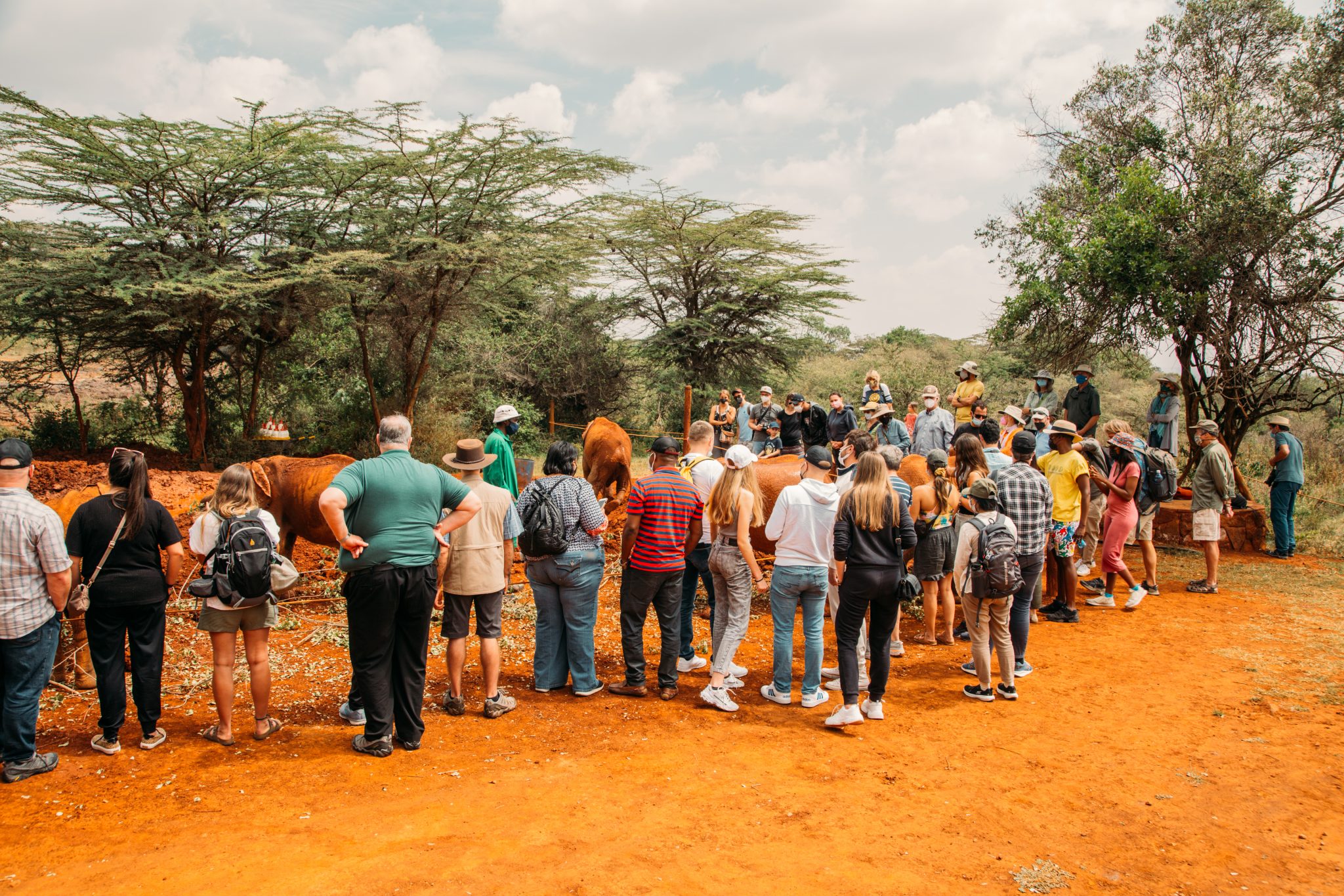 The public Feeding time at Sheldrick Wildlife trust elephant orphanage in Nairobi Kenya