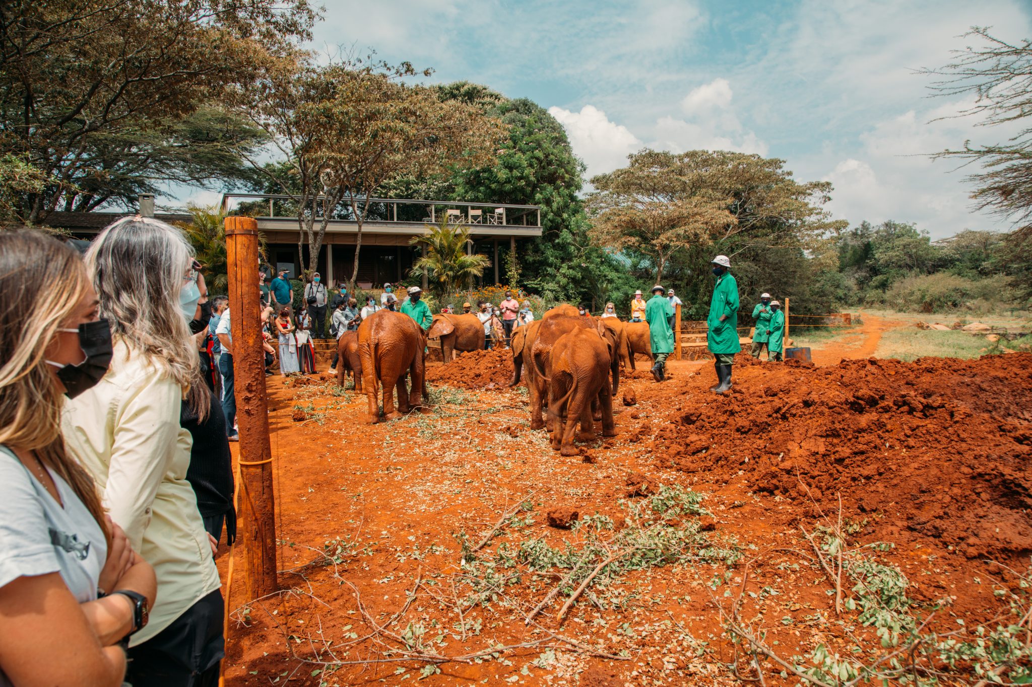 The public Feeding time at Sheldrick Wildlife trust elephant orphanage in Nairobi Kenya