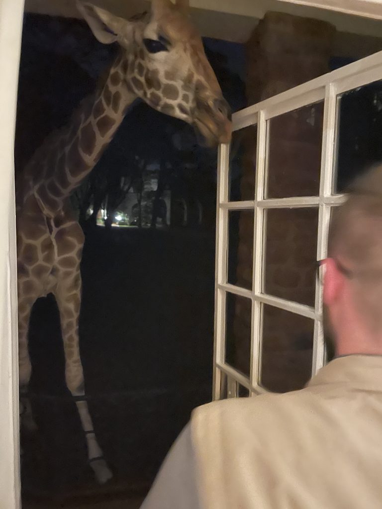 The giraffe that trying to sticks its head through an open patio door.