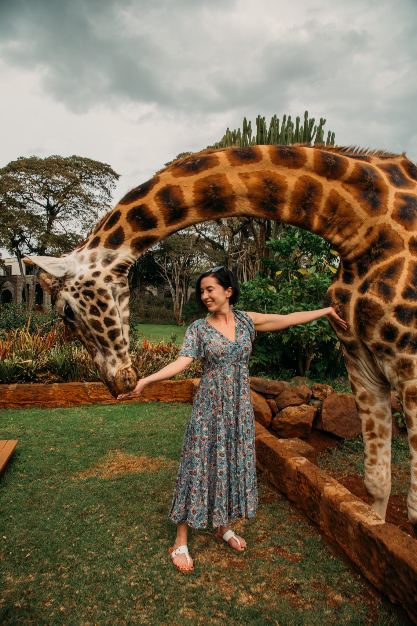 A woman petting and feeding a giraffe at Giraffe Manor