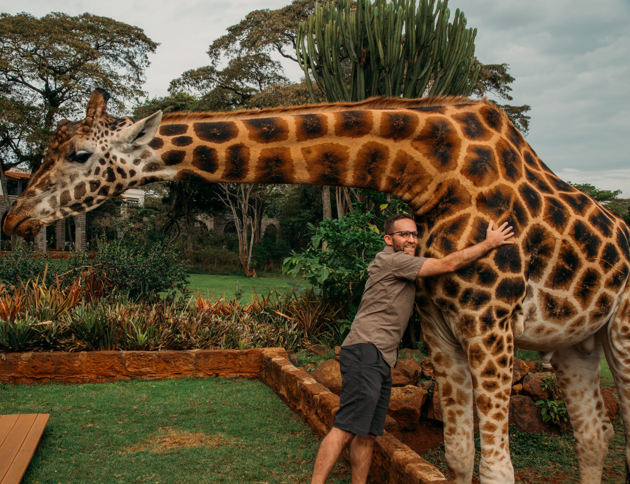 A man gugging a giraffe at Giraffe Manor