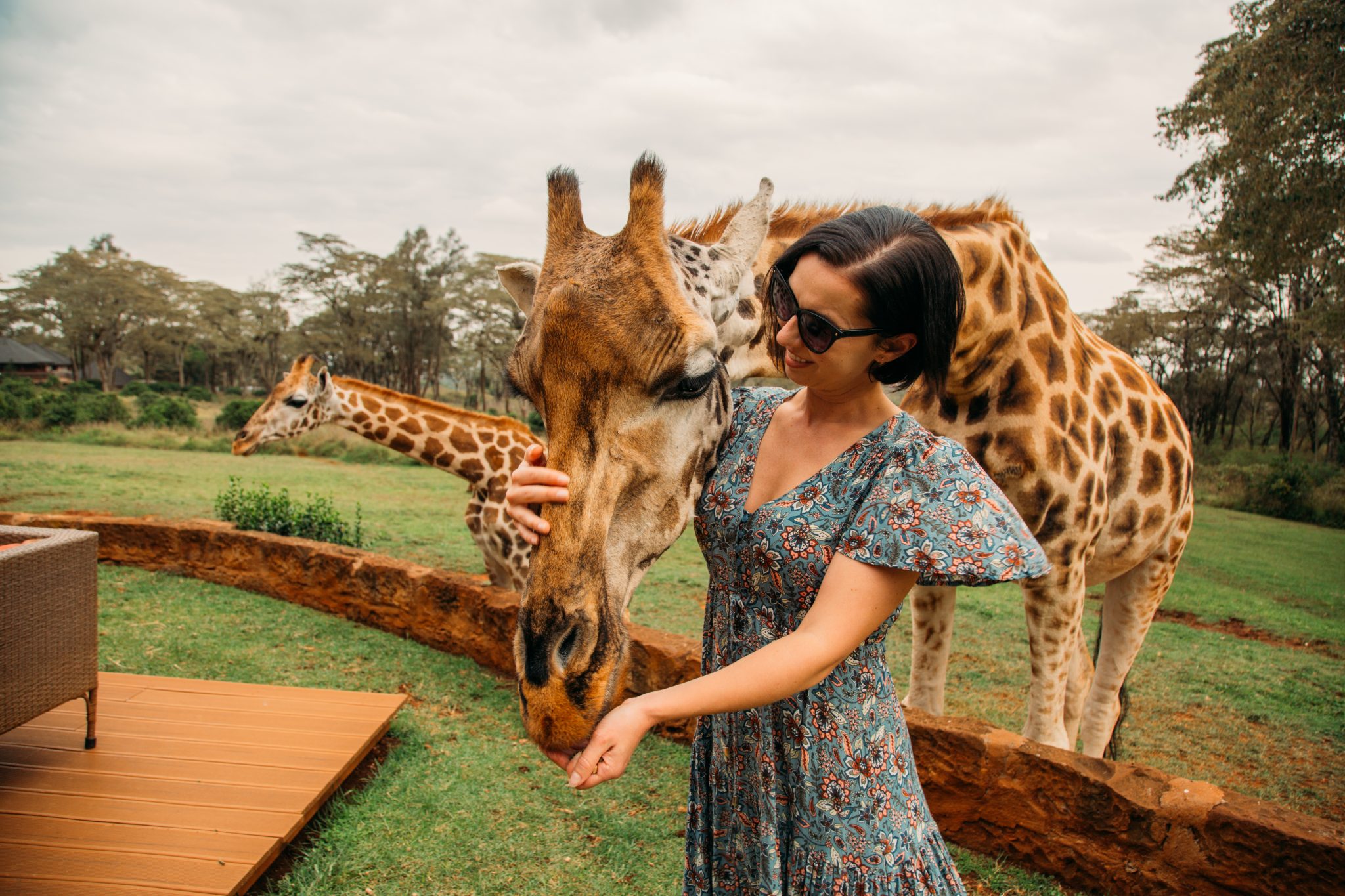 A woman feeding a giraffe.